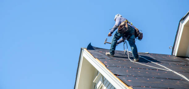 Roof Gutter Cleaning in Burlington, KS